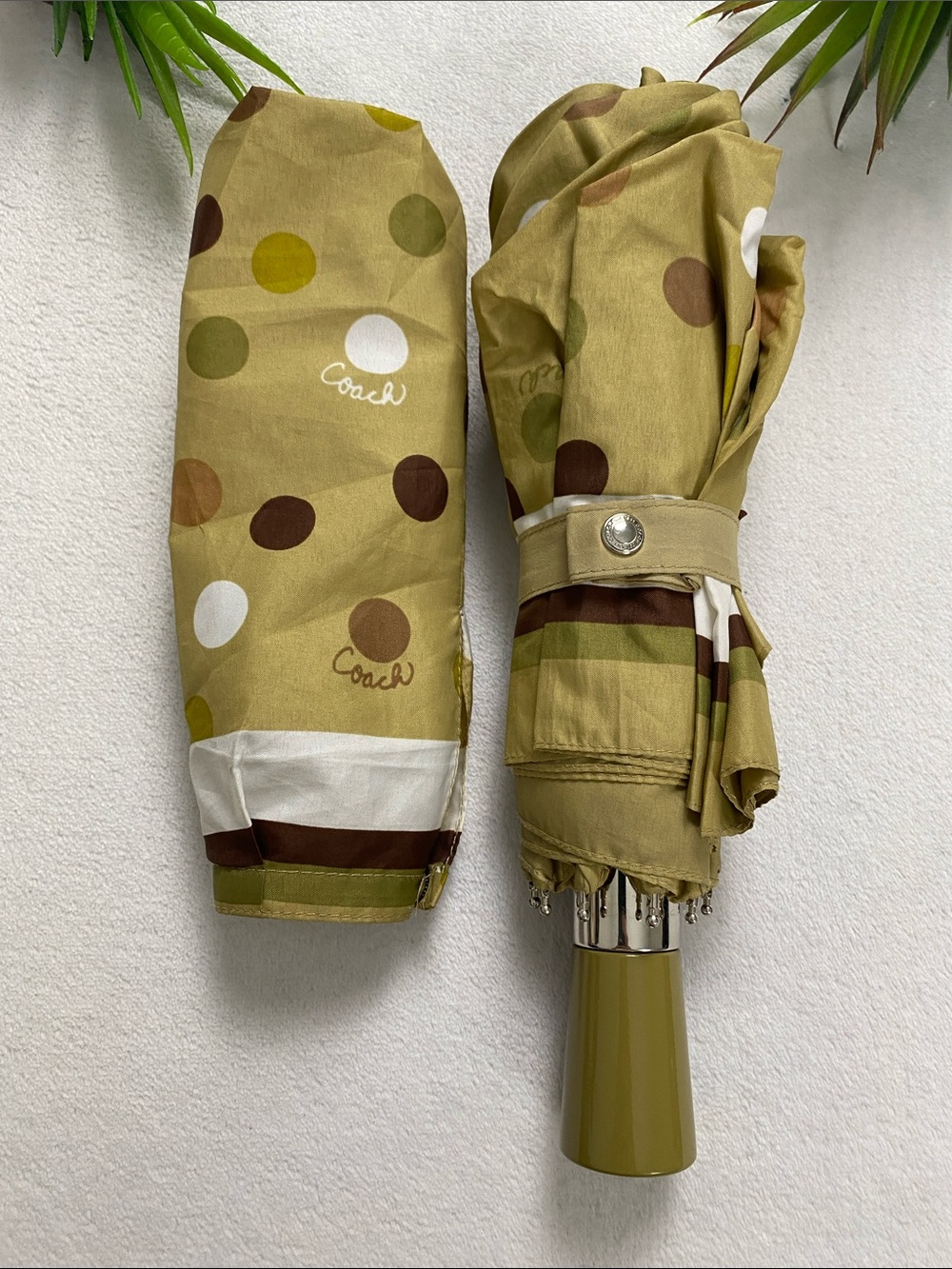 Coach Script Polka Dot Retractable Umbrella | Khaki Olive Multicolor - Picture 2 of 15